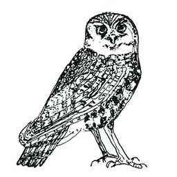 Trestles Native Plants